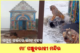 ସମୁଦ୍ର ଲୀନ ହେବାକୁ ଯାଉଛି ମା' ପଞ୍ଚୁବରାହୀ ମନ୍ଦିର