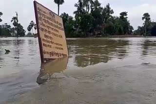 প্লাবিত বিস্তীর্ণ এলাকা