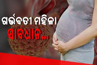 ମହାରାଷ୍ଟ୍ରରେ ପ୍ରଥମ Zika virus ମାମଲା ଠାବ