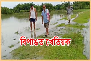 climate changed sivsagar farmers lots of problem