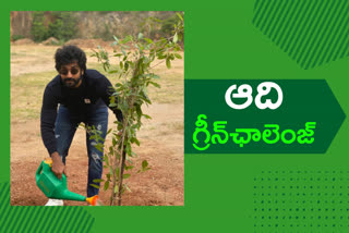 actor aadhi pinisetty planted a plante in ramoji film city