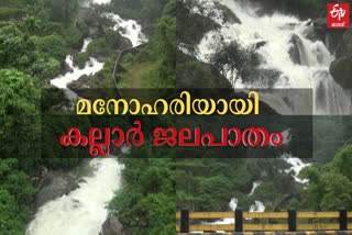 IDUKKI KALLAR WATERFALL  കല്ലാര്‍ വെള്ളച്ചാട്ടം  ഇടുക്കിയിലെ കല്ലാര്‍ വെള്ളച്ചാട്ടം  ഇടുക്കി കല്ലാര്‍ വെള്ളച്ചാട്ടം  വെള്ളച്ചാട്ടം  WATERFALL  KALLAR WATERFALL  ഇടുക്കി ടൂറിസം  idukki tourism