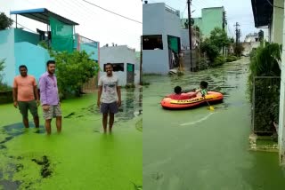 boat running in colonies