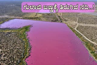 Pink lagoon