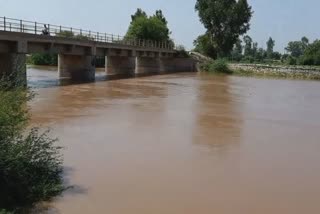 Ghaggar River water level rises