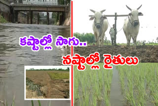 Krishna delta farmers problems