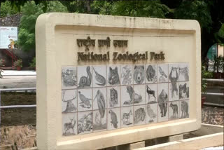 lot-of-enthusiasm-among-children-due-to-opening-zoo-in-delhi