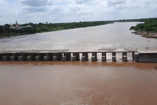 ujani dam filled with 50 percent water