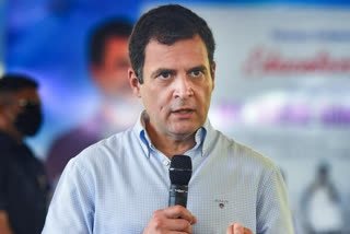 Rahul Gandhi