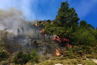 Turkey battles wildfires