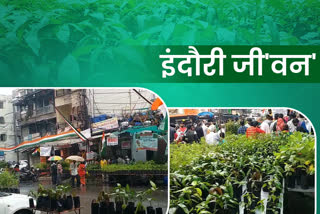 indore-free-distribution-of-plant