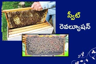 beekeeping benifits,sweet revolution in telangana