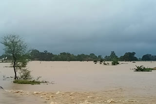 flood in three villages of shivpuri