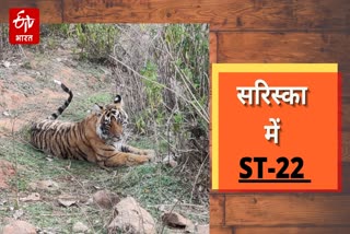 Sariska Tiger Reserve