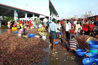 trawling ban  fish sales  harbors in state  Fish sales started in the harbors after trawling ban  സംസ്ഥാനത്തെ ഹാർബറുകളിൽ മത്സ്യവിൽപ്പന ആരംഭിച്ചു  ട്രോളിങ് നിരോധനം  മത്സ്യവിൽപ്പന  ഹാർബർ