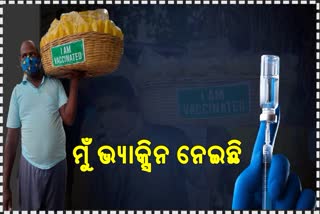 ଟୋକେଇରେ ଷ୍ଟିକର, ବୁଲାବିକାଳୀଙ୍କ ଭ୍ୟାକ୍ସିନ ବାର୍ତ୍ତା