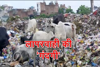 garbage problem in delhi