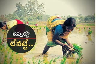 loan wavier, farmers