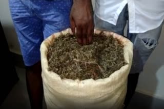 Two people arrested with huge amount of Ganja At Saraideu