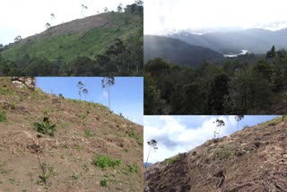 Mathikettan Shola  Mathikettan Shola National Park  thondimala  thondimala land enchroment  Idukki  Idukki land enchromentട  ഇടുക്കി തോണ്ടിമല റവന്യു ഭൂമിയില്‍ വന്‍കൈയേറ്റം  തോണ്ടിമല റവന്യു ഭൂമിയില്‍ വന്‍കൈയേറ്റം  ഇടുക്കി റവന്യു ഭൂമിയില്‍ വന്‍കൈയേറ്റം  റവന്യു ഭൂമിയില്‍ വന്‍കൈയേറ്റം  ഭൂമി കൈയേറ്റം  റവന്യു ഭൂമി കൈയേറ്റം  ഇടുക്കി റവന്യു ഭൂമി കൈയേറ്റം  ഇടുക്കി ഭൂമി കൈയേറ്റം