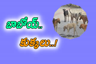 కుక్కల దాడి