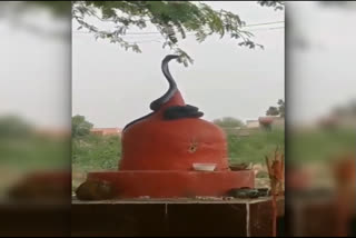 Snake wrapped on Shiva temple