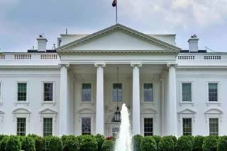 white house