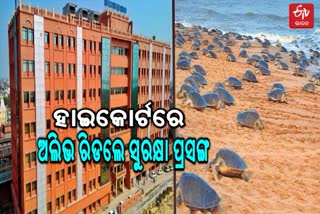 Olive Ridley turtle safety issue in High Court