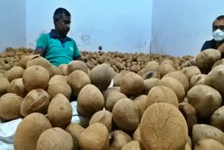 coconut-price-increased-in-tumkur