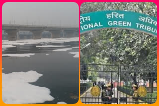 ngt pulled up authorities of delhi