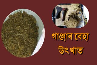 three-peddlers-arrested-with-ganja-in-chirang