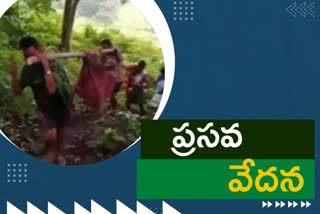 PREGNENT WOMEN REACHED HOSPITAL THROUGH DOLI VIZAG AGENCY