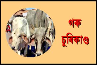 cattle-stolen-in-karimganj