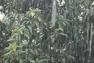 Rain in patna