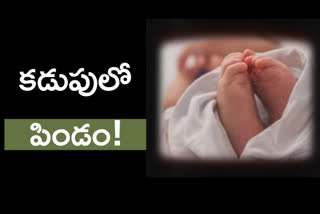 fetus surgery baby mumbai, శిశువు కడుపులో పిండం