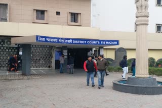 Tis Hazari Court rejects bail plea of two directors of Cosmic Structure Company