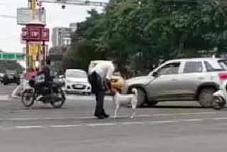 Traffic Jawan Ranjit Singh rescues injured dog