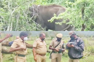 ட்ரோன் கேமரா மூலம் யானை கண்காணிப்பு