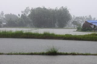 বৃষ্টি