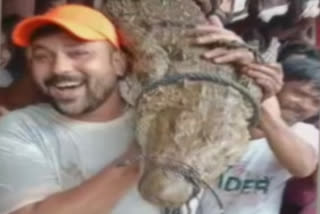 MP: Video of people lifting crocodile on their shoulders go viral