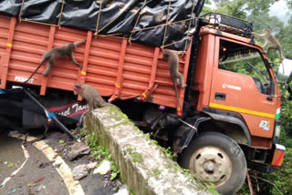 Agumbe Ghat