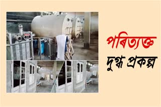 a-non-working-dairy-project-etv-bharat-assam-news