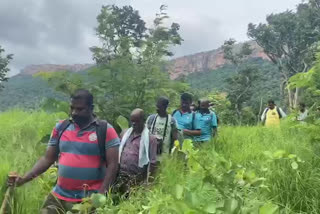 red sandal smuggling at seshachalam forest