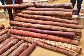 red sandalwood seized by ccb police