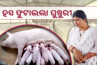 ଗୃହିଣୀରୁ ସଫଳ ଉଦ୍ୟୋଗୀ ଚାଷୀ