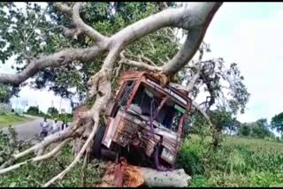 Lorry collides with wood