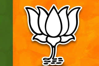 bjp