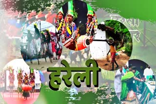 Grand programs will be held in Gauthans on Hareli festival in chhattisgarh