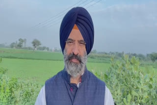 ਅਫਗਾਨੀਸਤਾਨ 'ਚ ਸਿੱਖਾਂ ਨੂੰ ਬਣਾਇਆ ਜਾ ਰਿਹਾ ਨਿਸ਼ਾਨਾ: ਸਿਰਸਾ