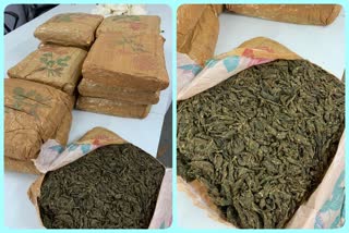 Delhi Customs caught ganja worth Rs 65 lakh sent from Andhra Pradesh